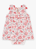 Robe à imprimé fleuri FAWHITNEY / 23E1BFQ2ROBD319